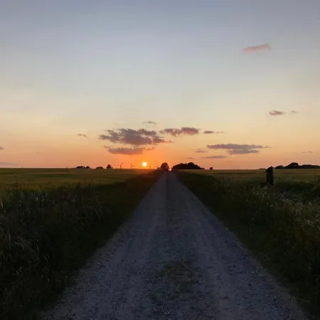 Villa Peaceful Oro Getaway, Cozy With Garden & Holbæk