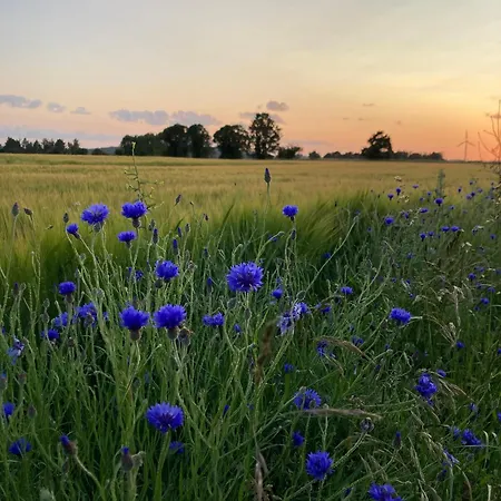 别墅 Peaceful Oro Getaway, Cozy With Garden & Holbæk
