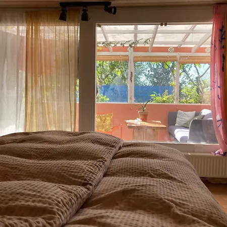 Peaceful Oro Getaway, Cozy With Garden & Villa