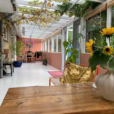 Peaceful Oro Getaway, Cozy With Garden &