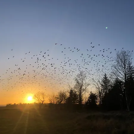 Peaceful Oro Getaway, Cozy With Garden &