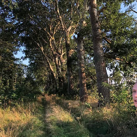 Villa Peaceful Oro Getaway, Cozy With Garden & *