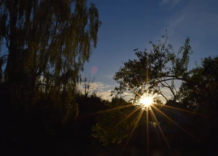 Peaceful Oro Getaway, Cozy With Garden &