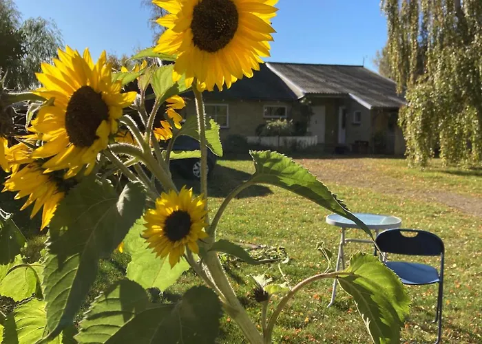 Peaceful Oro Getaway, Cozy With Garden & Villa