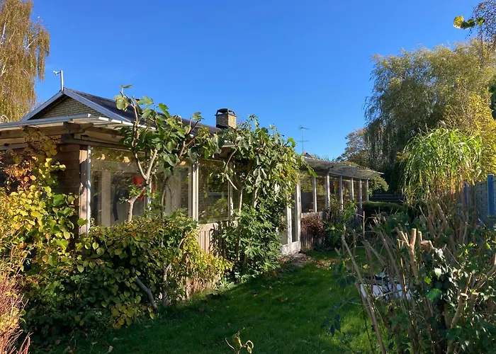 Villa Peaceful Oro Getaway, Cozy With Garden & *