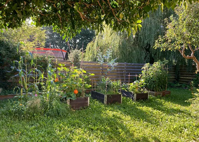 Peaceful Oro Getaway, Cozy With Garden & Holbæk